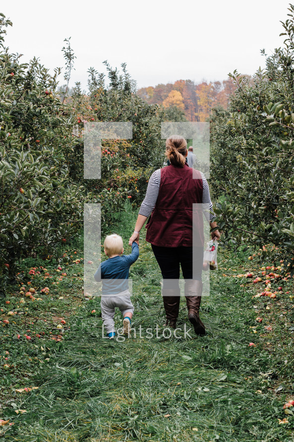 mother and toddler son walking in an apple orchard 