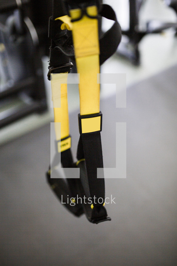 TRX fitness straps 