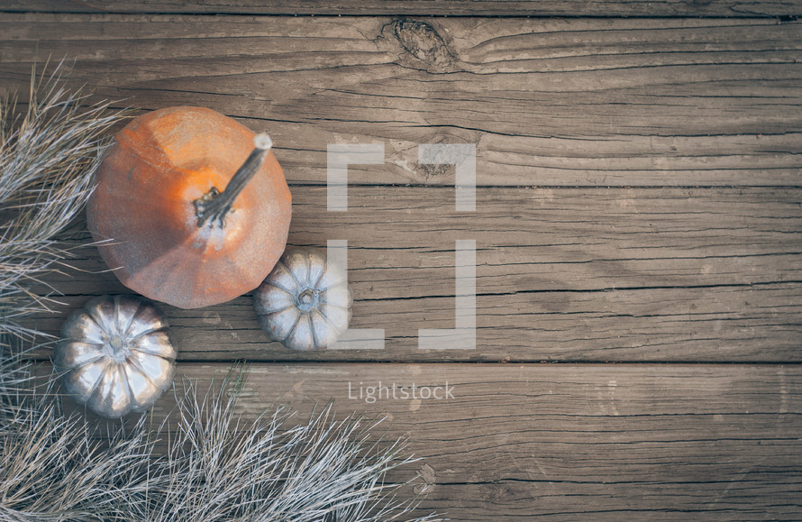silver and orange pumpkins on an aged wood background