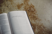 Bible open to the New Testament on a concrete floor.