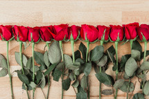 row of red long stem roses