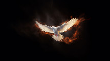 A dove with outstretched wings with fire on a black background