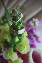 wedding rings on a bouquet 