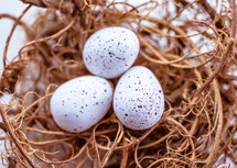 speckled bird eggs in a nest 