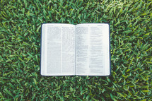 open Bible in the grass 