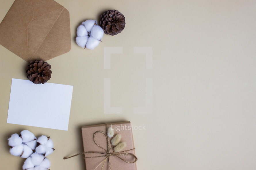 envelope, pine cones, gift, cotton 