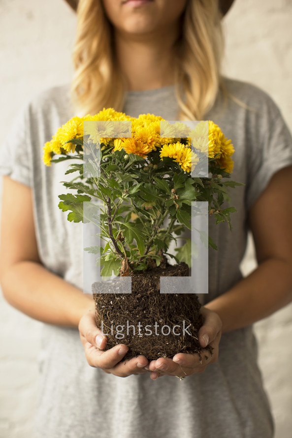 a woman holding a mum plant 