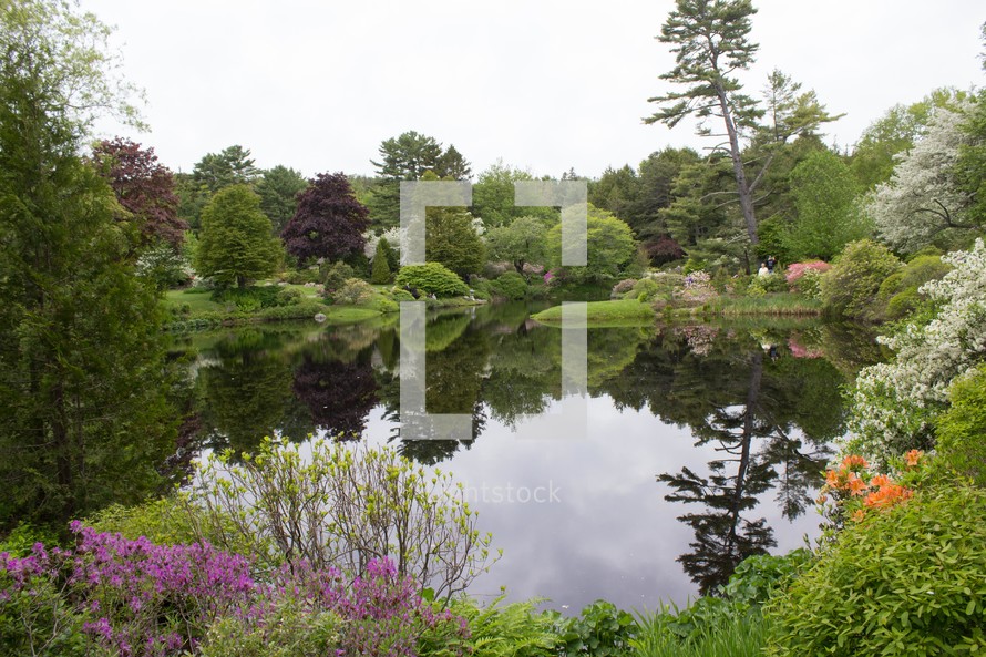 pond surrounded by flowers in Maine 