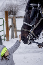a child petting a horse in snow 