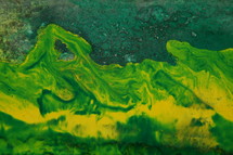 green and yellow abstract background 