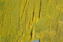 yellow on canvas 