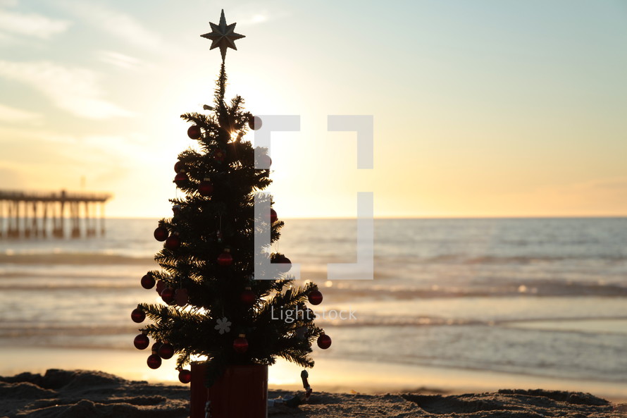 Miniature Christmas tree on the beach
