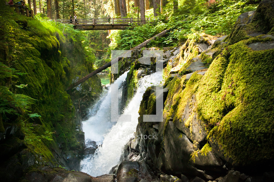 bridge over a waterfall in a forest 