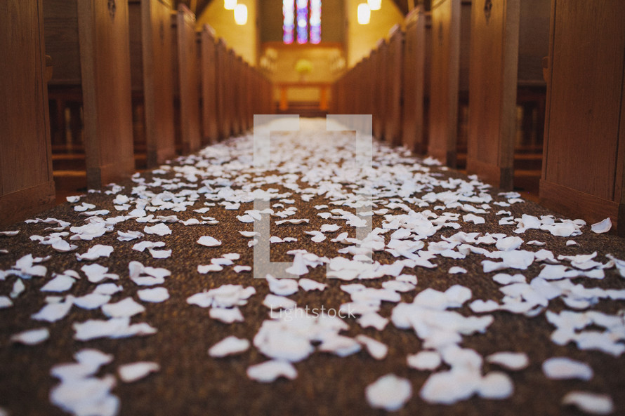 white rose petals spread down the aisle 
