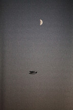 sea plane in flight under a crescent moon