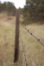 barbed wire fence 