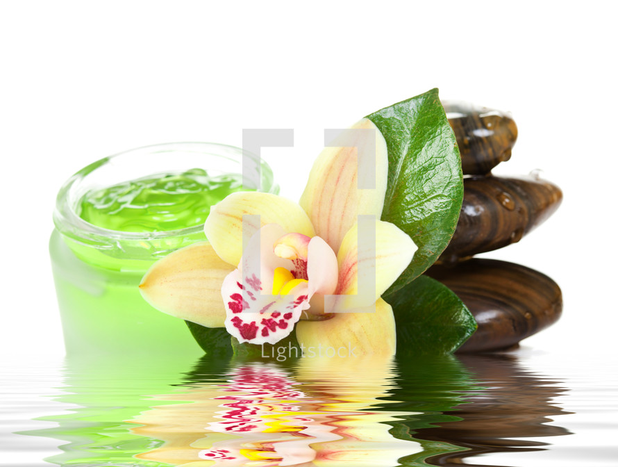 Green cream with orchid and stones on white background 