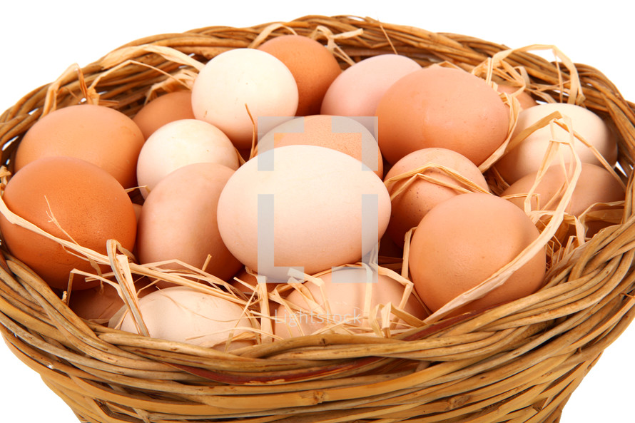 basket of eggs 