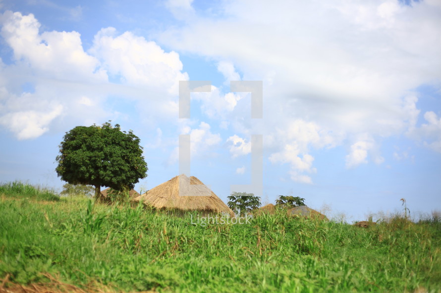 Straw huts in green field
