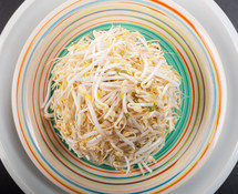 bean sprouts 