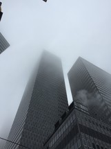 fog in a city 