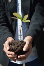 a man holding a sprouting plant 