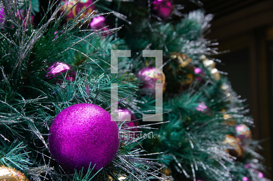 Purple and gold ball ornaments hanging from pine Christmas tree.
