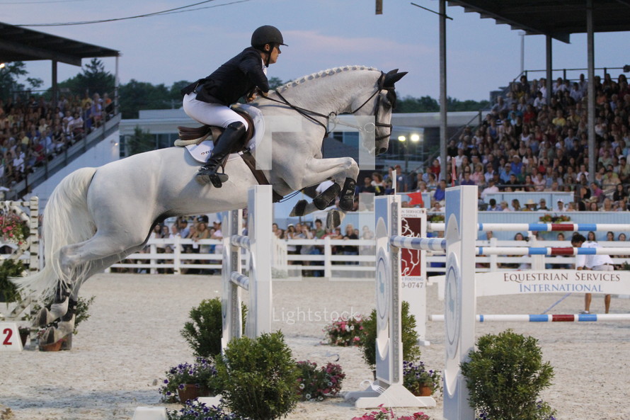 horse jumping in an equestrian show