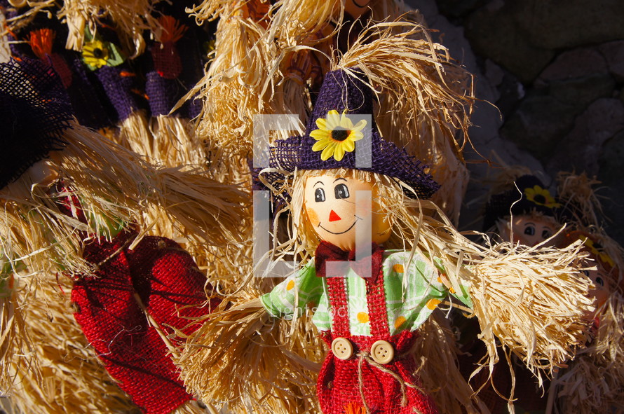 scarecrow in straw