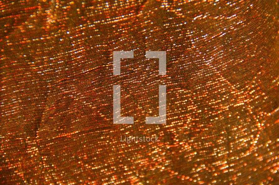 Magnified shimmery fabric.