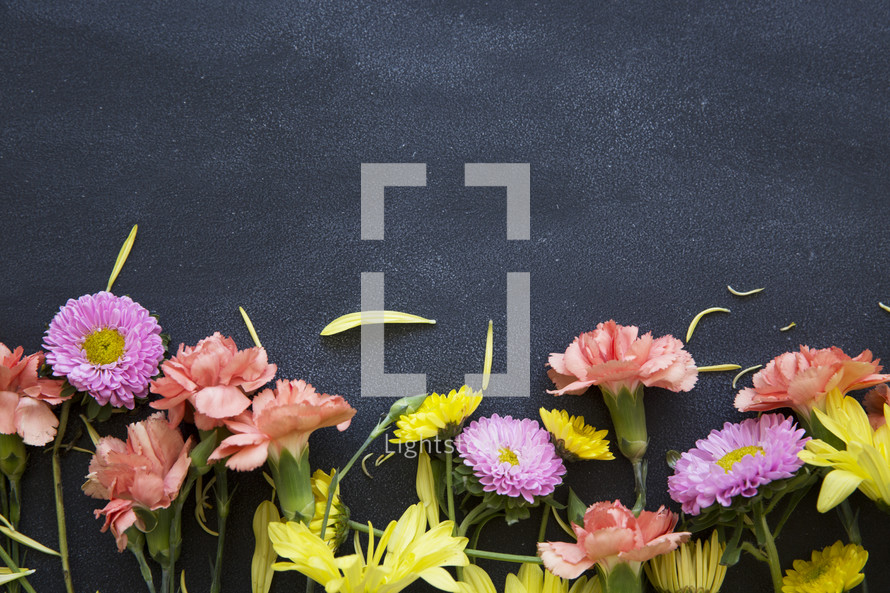 border of flowers on a black background 