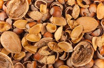 Empty shells of walnuts hazelnuts almonds for combustion