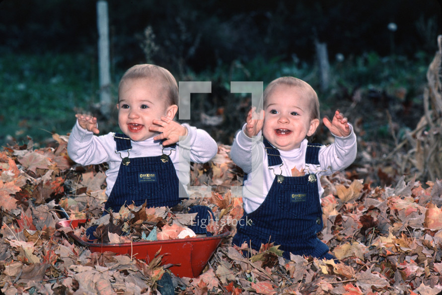twin boys playing in fall leaves 