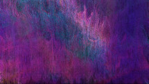 purple on canvas 