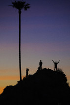 silhouette of a palm tree and people standing on top of a hill 