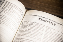 The second epistle of Paul the apostle to Timothy 