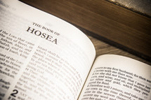The Book of Hosea 