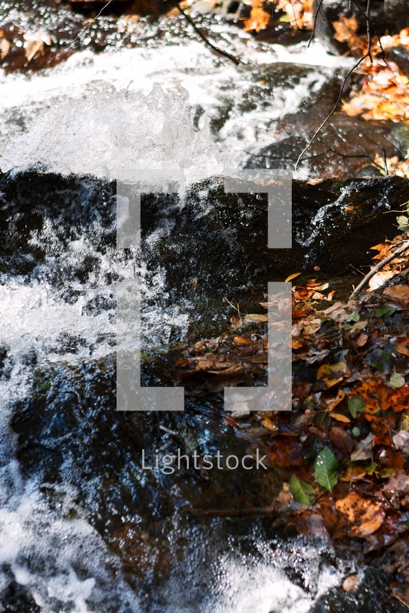 water flowing in a stream near fallen leaves