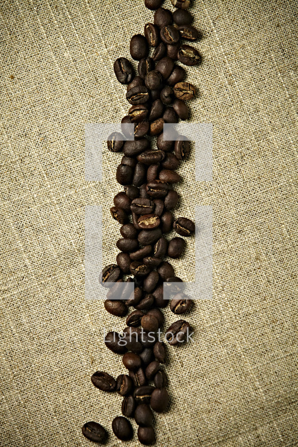 A line of coffee beans