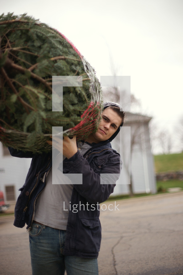 Carrying a fresh cut Christmas Tree