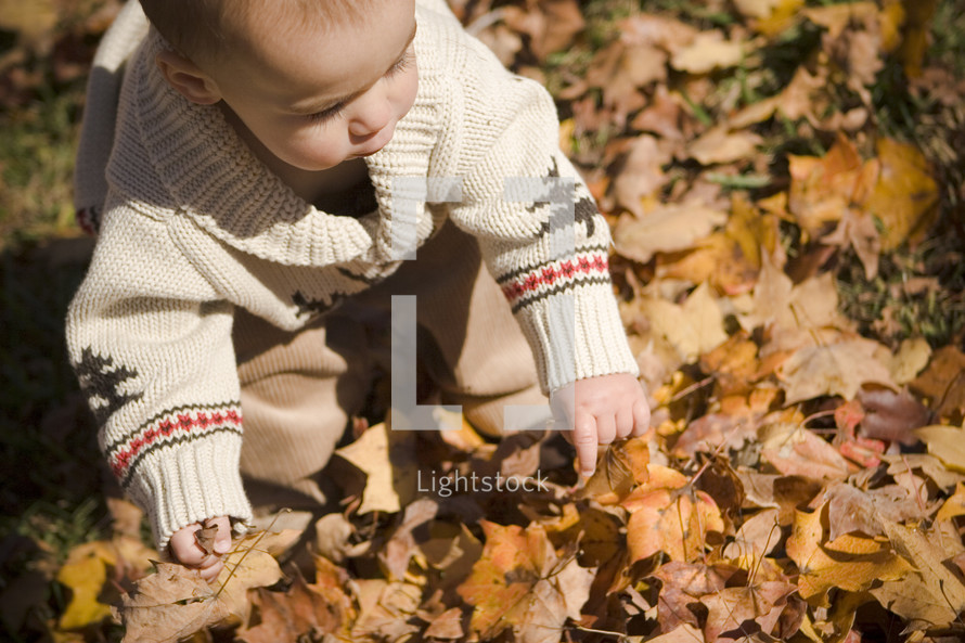Toddler boy playing in leaves