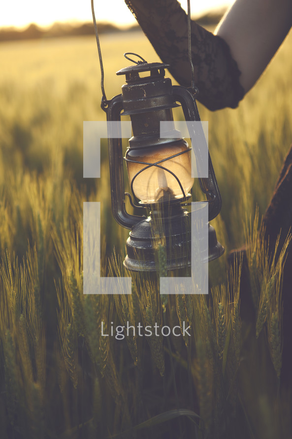 lantern in a wheat field