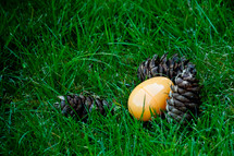 yellow plastic Easter egg lying next to pine cones in the grass