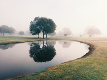 reflection of trees in the water of a pond and morning fog 