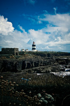 lighthouse along a coast 