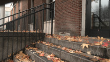 fall leaves on a concrete steps 