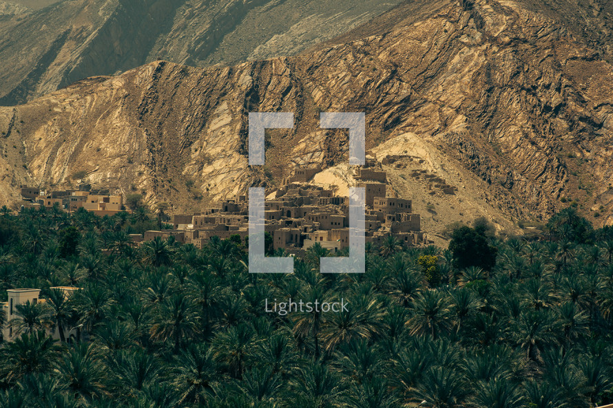 Palm trees beneath mountainous land in the Middle East.