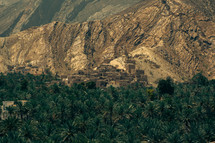 Palm trees beneath mountainous land in the Middle East.