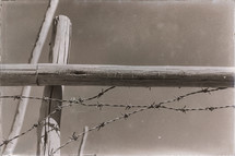 barbed wire on a post 