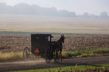 Amish horse and wagon 